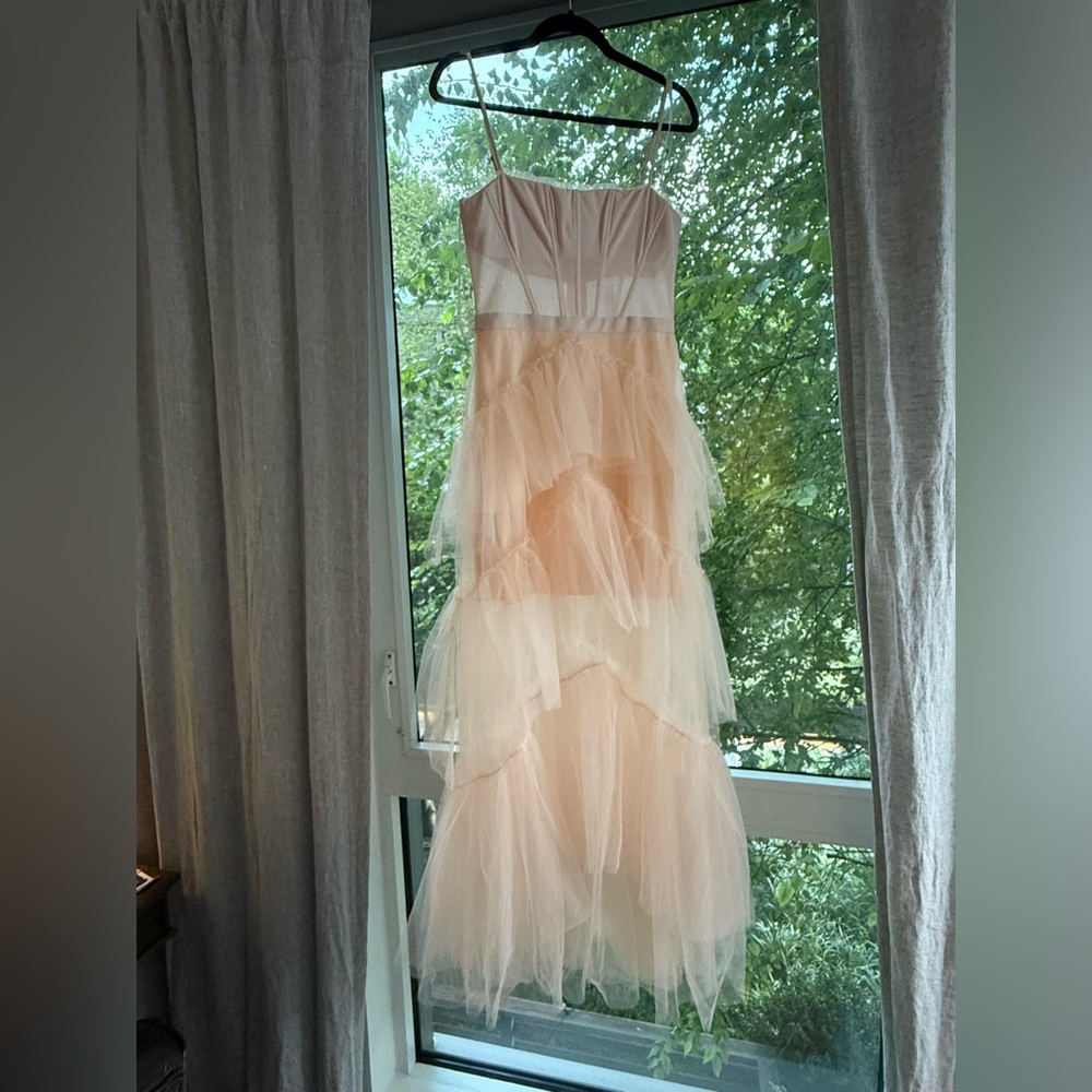 BCBGMaxAzria Elegant Pink/Nude Tulle Gown
